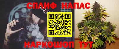 прущие грибы Северобайкальск