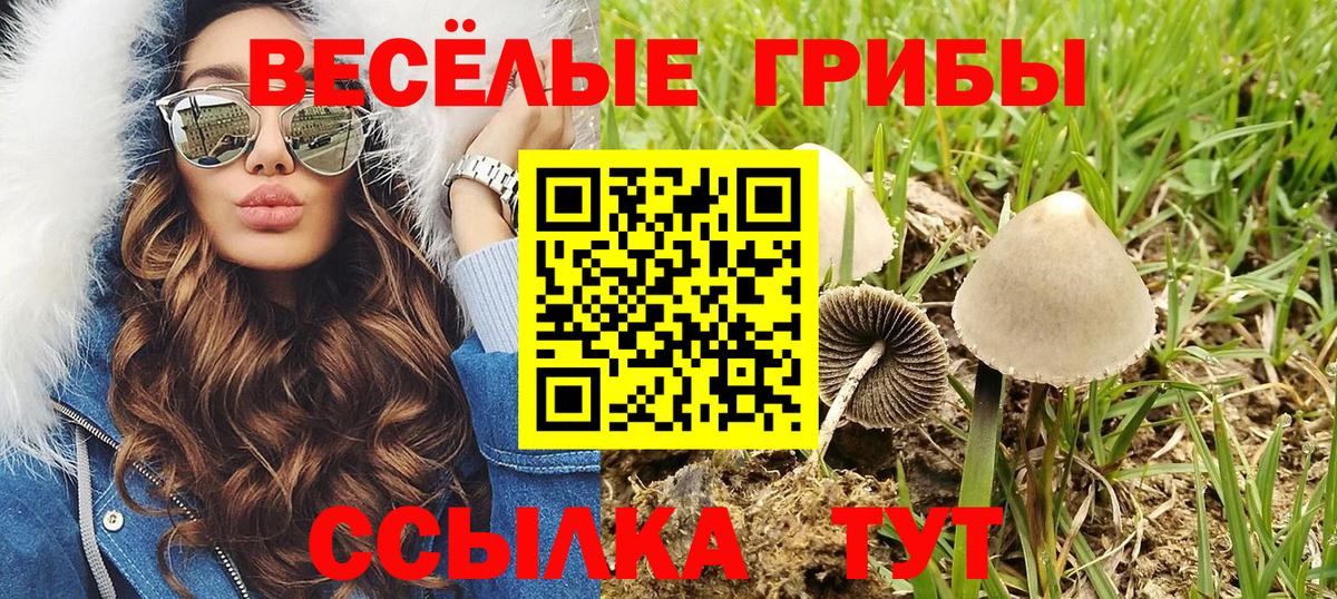 закладки  Вход с VPN  Нарткала  Псилоцибиновые грибы мицелий 